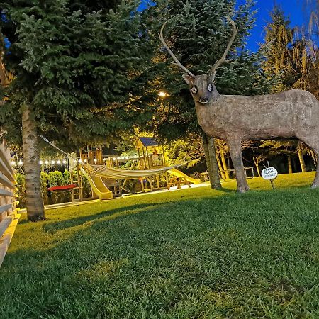 Popasul Lu' Voda Borşa Exteriér fotografie