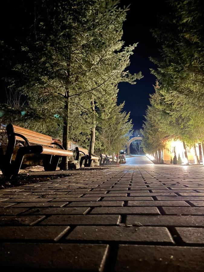 Popasul Lu' Voda Borşa Exteriér fotografie