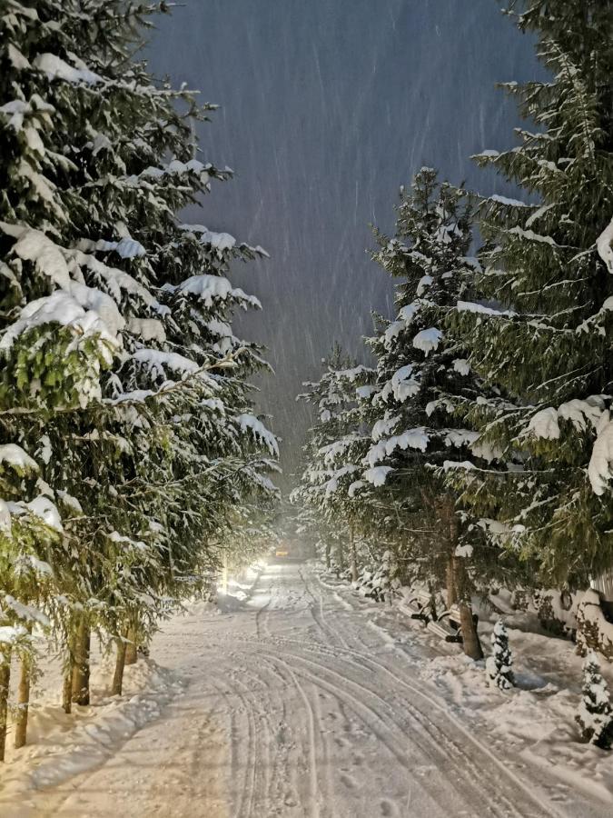 Popasul Lu' Voda Borşa Exteriér fotografie