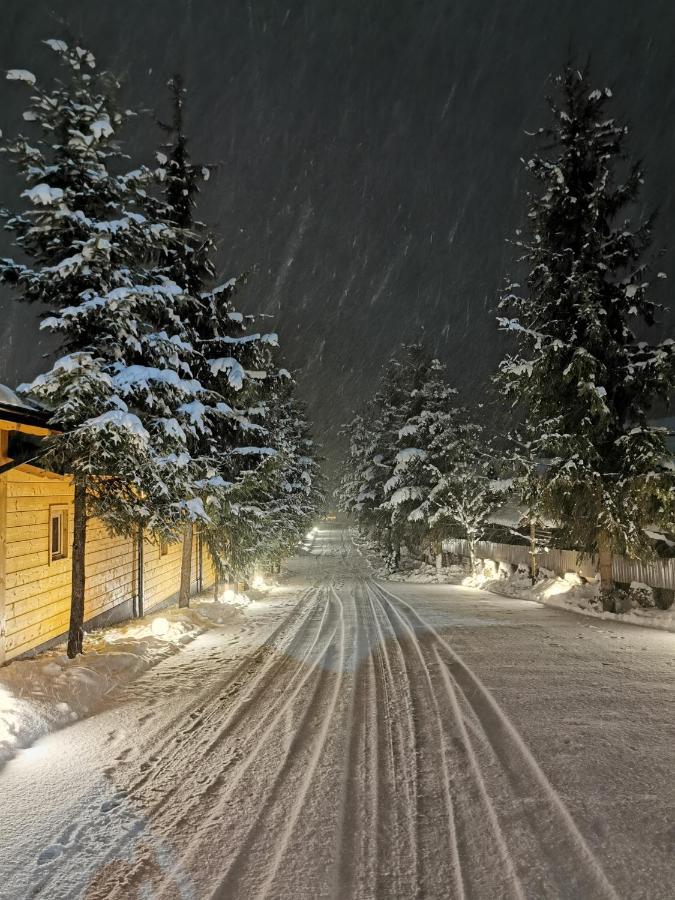 Popasul Lu' Voda Borşa Exteriér fotografie