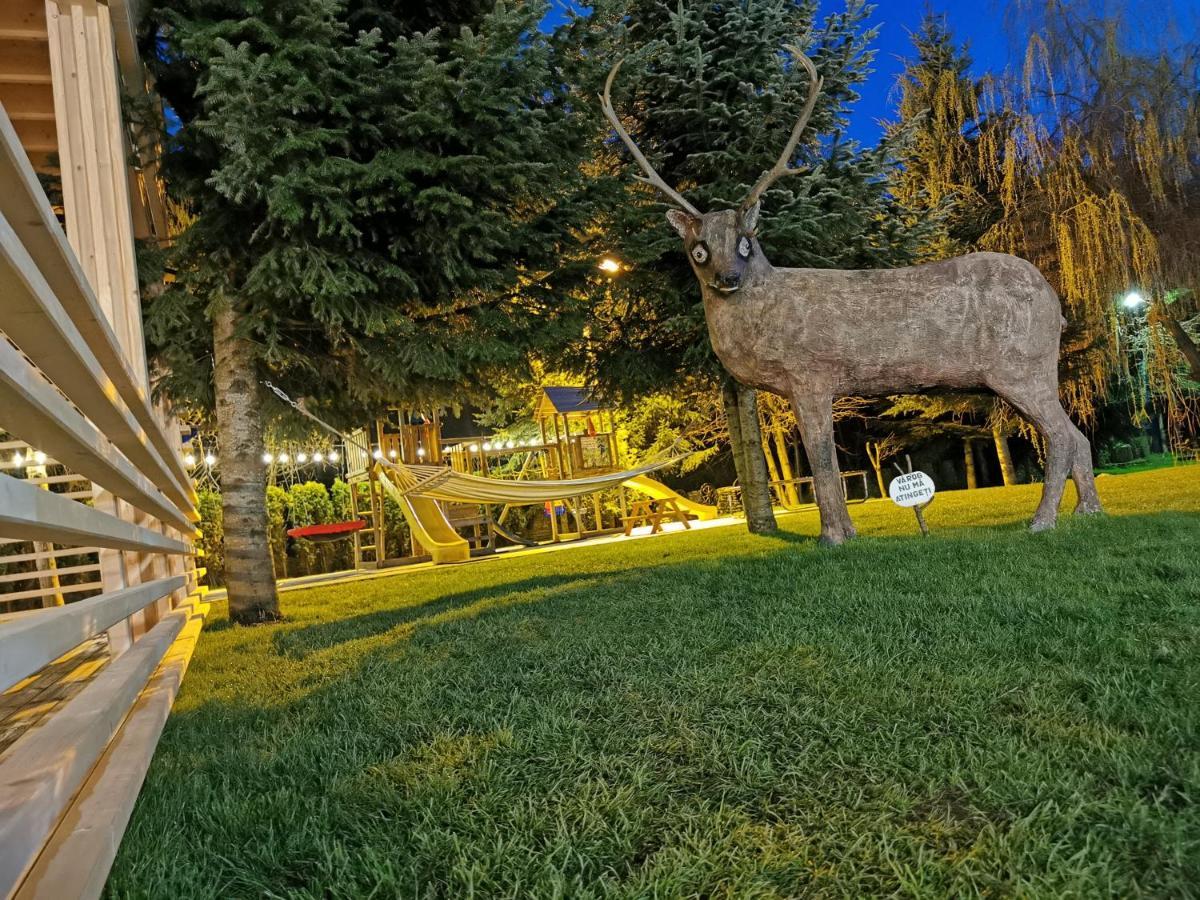 Popasul Lu' Voda Borşa Exteriér fotografie